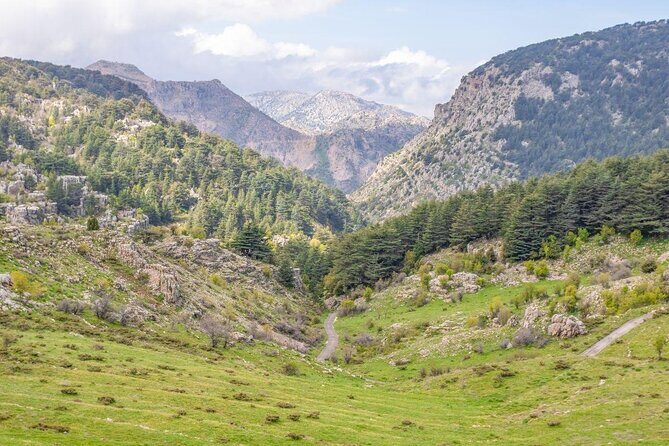 Cedars, Bsharre & Kozhaya Day Tour - Why This Cedars–Bsharre–Kozhaya Route Feels Like a Real Day in Lebanon