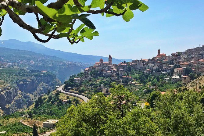 Cedars, Bsharre & Kozhaya Day Tour - Bsharre + Khalil Gibran Museum: Culture Stop With Real Context