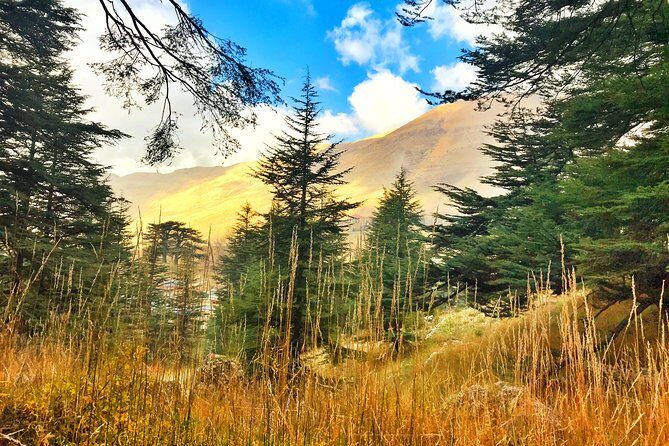 Cedars, Bsharre & Kozhaya Day Tour - 8:30 am Start: Leaving Beirut Without Wasting the Day
