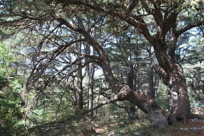 Chouf Charm: Private Journey Through Lebanon's Historic Heartland - Deir el Qamar’s old streets: churches, mosque, and a village story that survived