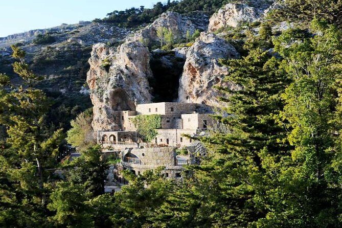 Small Group Tours to Qadisha Valley, Bcharre and Cedars with lunch and all fees - Cedars of God: 375 trees, Bible references, and the Lebanon symbol