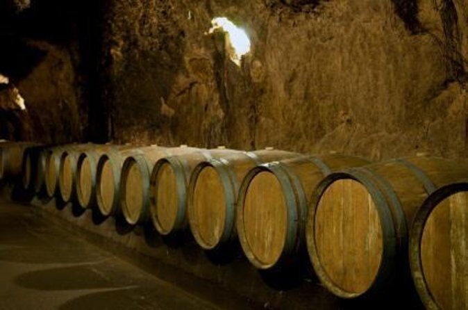 Wine Tasting and Culture - Key highlights to know before you go