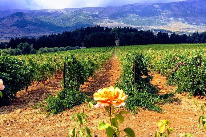 Wine Tasting and Culture - Why this Beirut wine-and-Temples day works